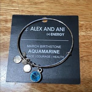 Alex and ani bangle
